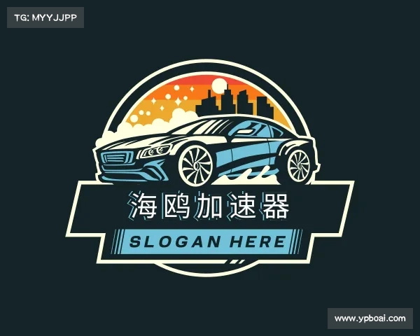 解读海鸥加速器